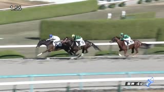 ペプチドソレイユ　阪神・2歳新馬戦　2022年12月11日