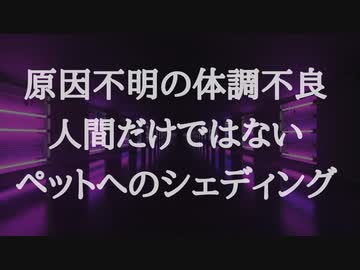 原因不明の体調不良 ヒトだけではない ペットのシェディング被害