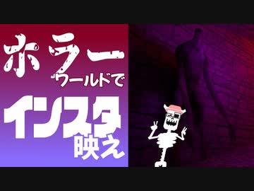 ホラワでインスタ映えする写真を撮ろう！