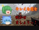 【バカゲー】ARKだと思ったら別ゲーｗｗｗ　だが、面白い！【Dinosaur Hunt】