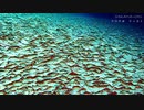 SAKANA-GIRLを歌ってみた