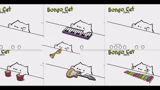 Cat Pain