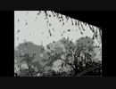 【NNIオリジナル】Råiñ