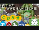 Total War:WARHAMMERⅢ】とびだせ ぞうもつの森！＃３０『キスレフ侵攻』