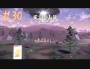 ヒスイ地方ー天冠の山麓ー ☆ 【Pokémon LEGENDS アルセウス実況】 #30