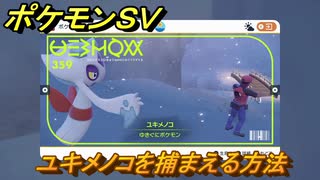 ポケモンＳＶ　ユキメノコを捕まえる方法！出現場所は？図鑑No.３５９　ポケモン図鑑を埋めよう！　【スカーレット・バイオレット】