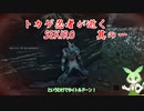 トカゲ忍者が逝くSEKIRO　その1