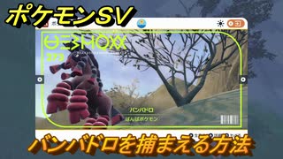 ポケモンＳＶ　バンバドロを捕まえる方法！出現場所は？図鑑No.２７３　ポケモン図鑑を埋めよう！　【スカーレット・バイオレット】