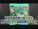 自分を星のカービィだと思い込んでいる男の星たべよ★