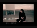橄欖樹—孫燕姿sunyanzi