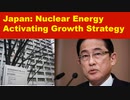 Nuclear Energy Activating Growth Strategy