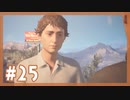 私がこの兄弟の未来をきめる『Life is Strange2』 #25【女性実況】