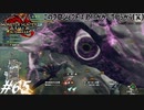 【実況】ぜんぶ狩人が愚かなせい #65 ～このプロジェクトは君にかかっているから(笑)～【MHRise:SB】