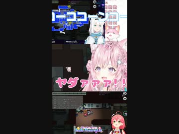 こよりとみこちのイチャイチャに遭遇する白上フブキ【切り抜き/ホロライブ】