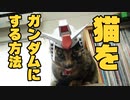 うちのネコ　ガンダムの被り物の作り方講座とガンダムのコスプレをするかっこよすぎる猫