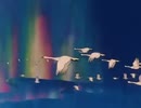 Aurora Thander Attack