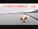 これが釣りの現実ばい10（堤防青物狙い）【VOICEROIDフィッシング】