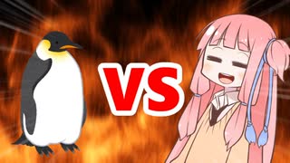 茜ちゃんVSペンギン