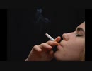 【NNIオリジナル】Tobacco