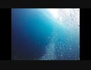 【NNIオリジナル】Water Tank