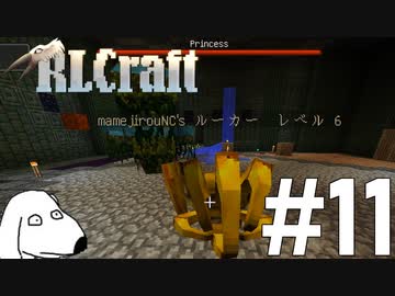 仲間達が強すぎてもう何も怖くないマインクラフト(犬)【RLCraft】＃11