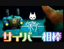 猫ちゃんとサイバーシティの絶妙な世界観！『Stray』実況プレイ part2