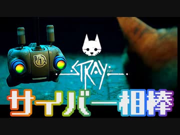 猫ちゃんとサイバーシティの絶妙な世界観！『Stray』実況プレイ part2