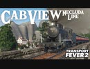 ゼルダマップ前面展望 ～ウオトリー村からハイラル城下町へ 1930年～ コメント返信付き【Transport Fever 2】