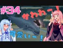 あかねちゃんが寿司の高みを目指す実況プレイ #34【DAVE THE DIVER - デイヴ・ザ・ダイバー - 】