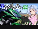 葵ちゃん達と行こうSX 第2章「人の形を成す」