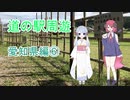 【COEIROINK車載】愛知県道の駅周遊⑥新城市街～鳳来三河三石【原付２種】