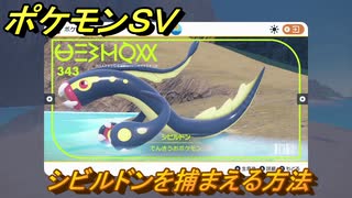 ポケモンＳＶ　テラスタルポケモンの場所　シビルドン編　ポケモン図鑑を埋めよう！　【スカーレット・バイオレット】