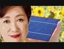 都議会自民党は“太陽光パネル義務化条例”について【反対】を委員会で表明⇒小池知事から明確な答弁は無し