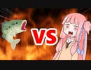 茜ちゃんVSバス釣り
