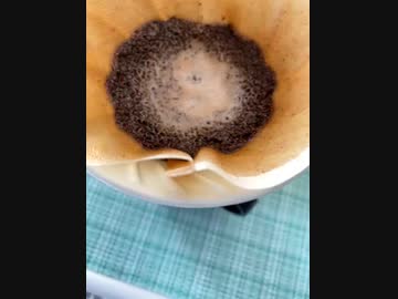 今日のコーヒー