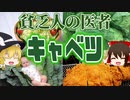 【ゆっくり解説】キャベツの栄養について解説！