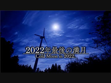 【音散歩】秋の虫と花火の音
