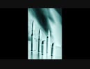 【NNIオリジナル】EBTG