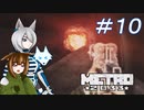 [Metro2033] 沈黙狼娘とおしゃべりAIのメトロ冒険記 #10 [オリキャラ実況]