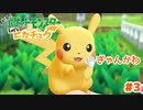 ええ？なになにィ？？(ニヤケ顔【Let’s Go!ピカチュウ】＃3