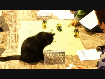 ちょいみけねこ男子 吉祥寺店 22年12月号 動物 動画 ニコニコ動画