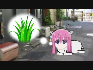 ゴートうひとり　ごはんをさがそう