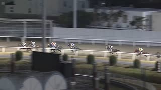 2022年12月15日川崎競馬11R 麻生（あさお）オープン(OP) ブラックパンサー