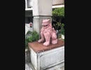 沖縄　牧志　シーサー2