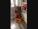 沖縄　牧志　シーサー4