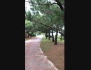 沖縄　首里城1