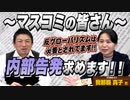 オランダへ行って判明した事実！マスコミの皆さん、内部告発求めます！！【DIY cafe 我那覇真子】#085-01