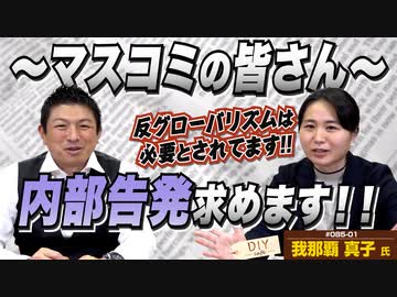 オランダへ行って判明した事実！マスコミの皆さん、内部告発求めます！！【DIY cafe 我那覇真子】#085-01