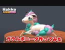 【Hokko LIFE】【ホッコライフ】ガラルポニータ作ってみた
