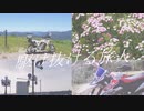 【VOICEROID車載】欧州バイクと駆け抜ける旅人#01【太神山林道】